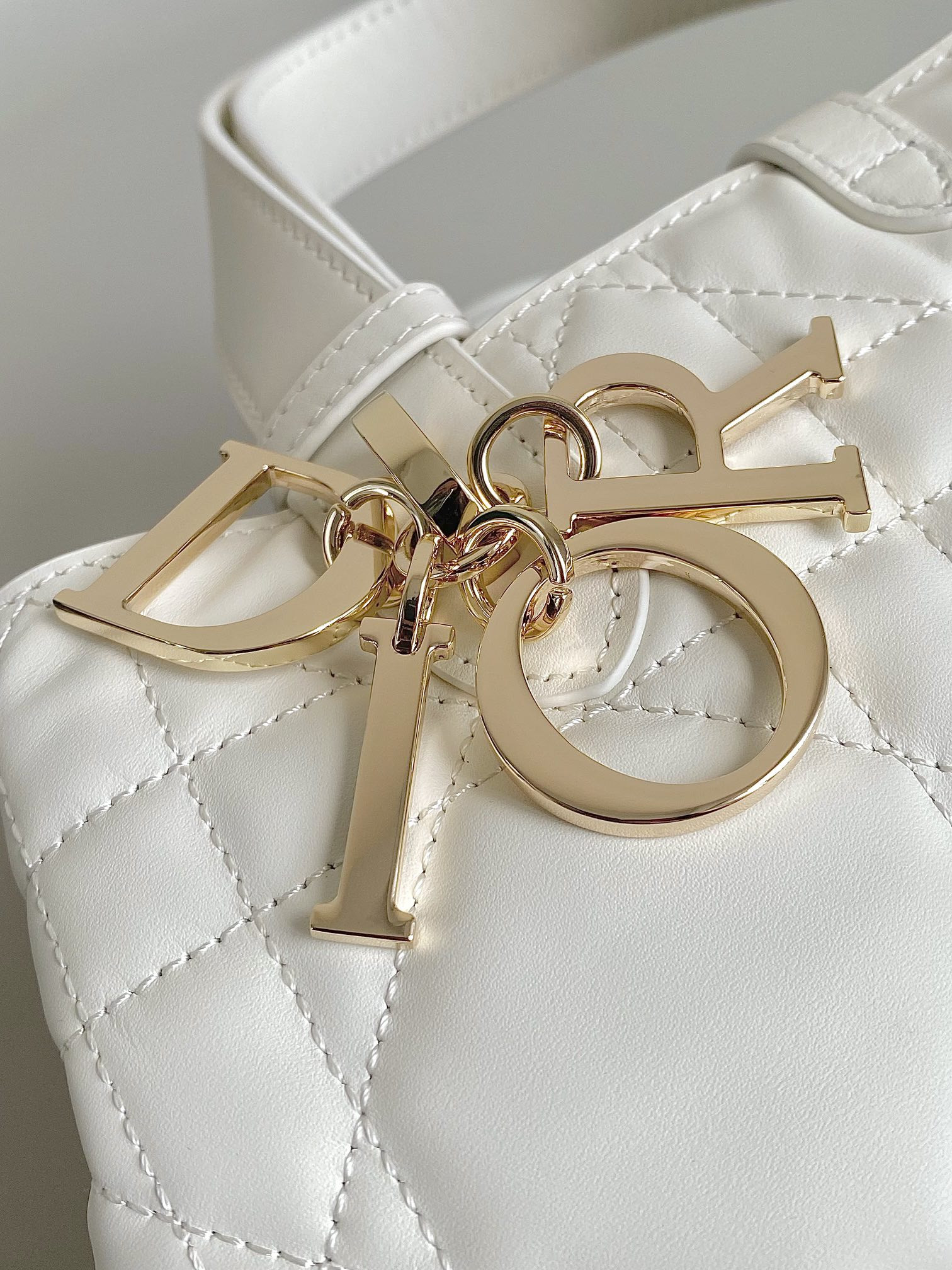 Dior Toujours Bag