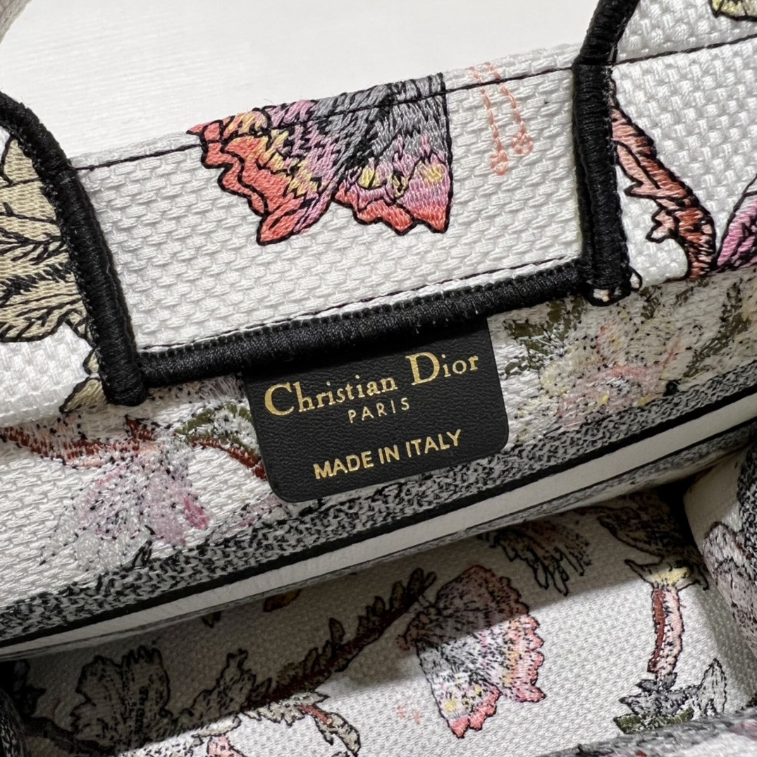 Small Dior Book Tote