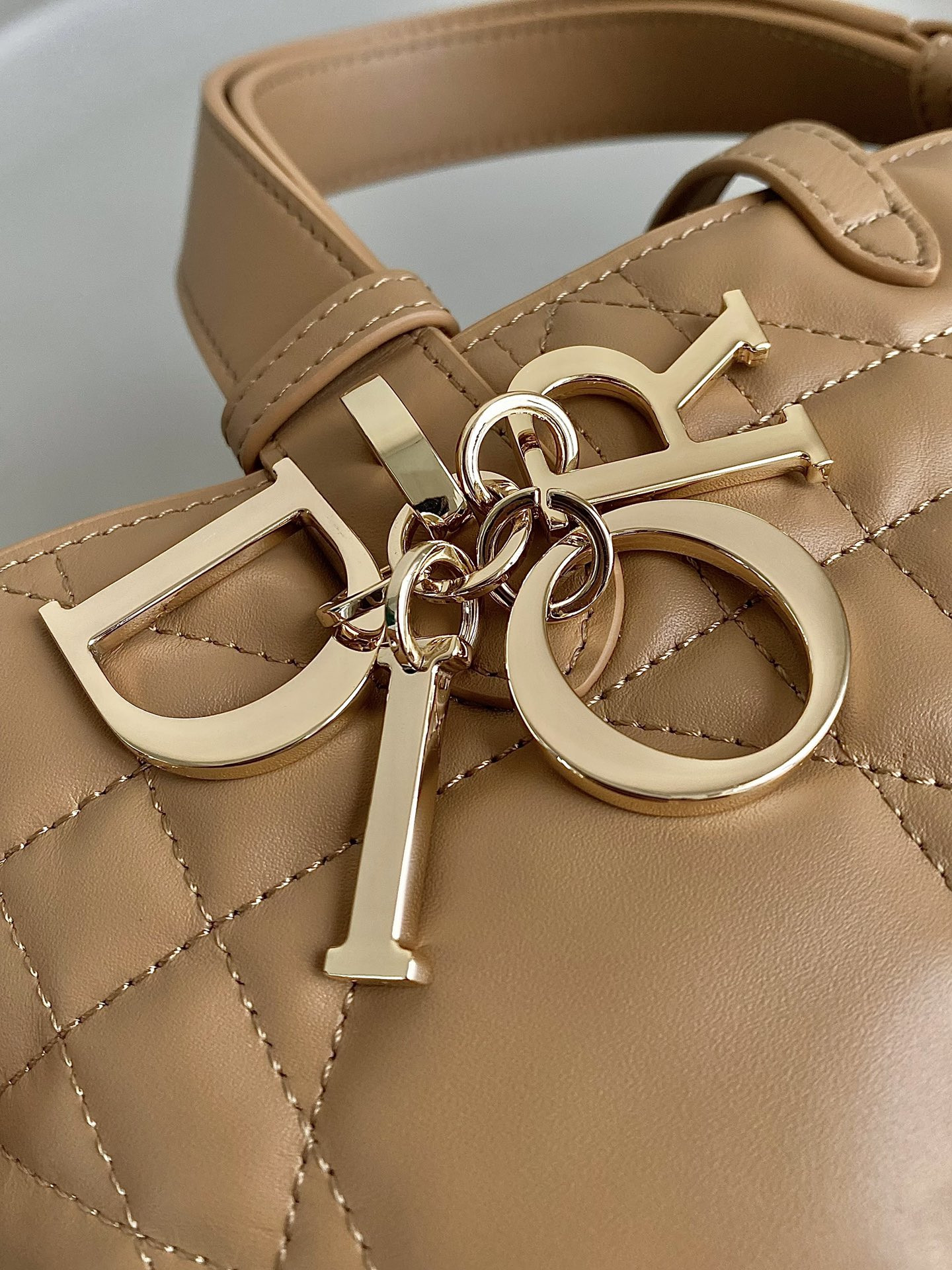 Dior Toujours Bag