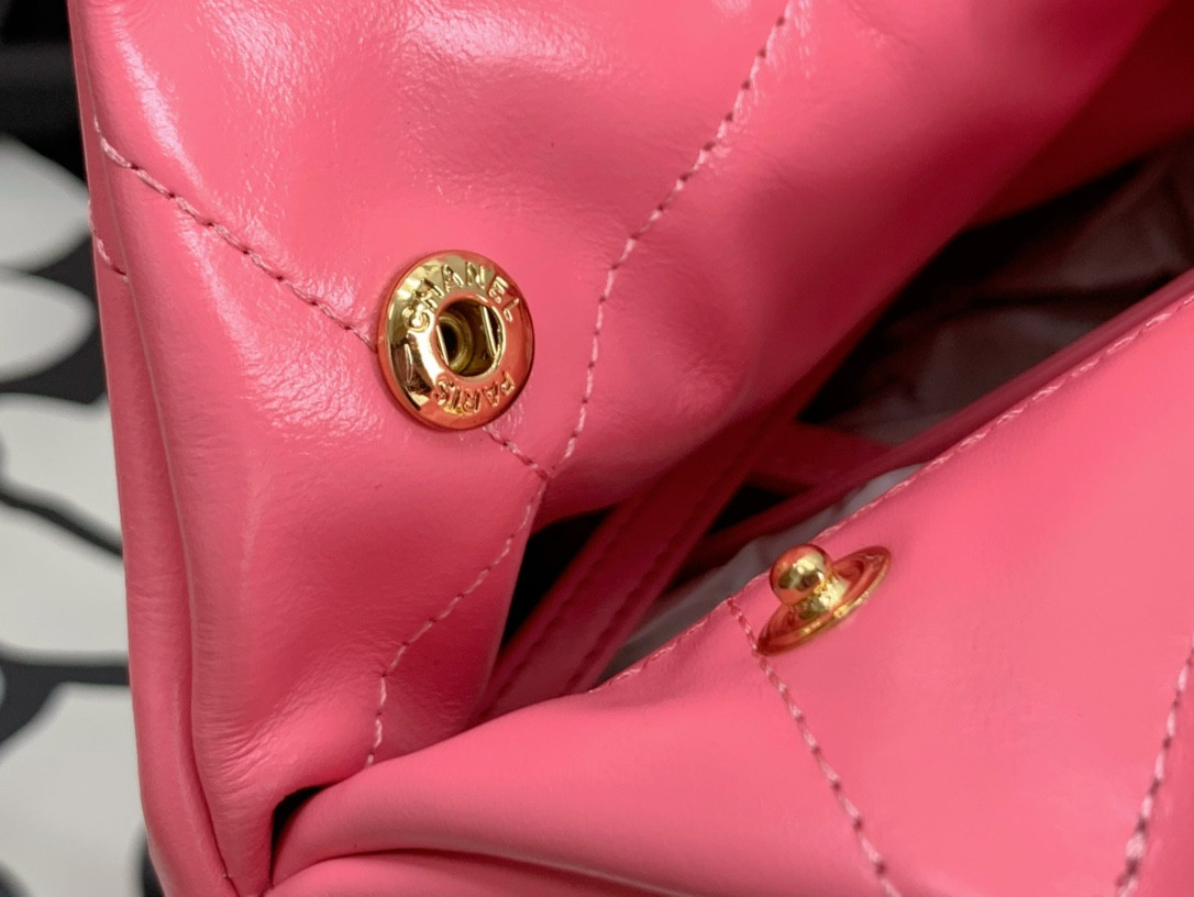 Chanle 22 Backpack