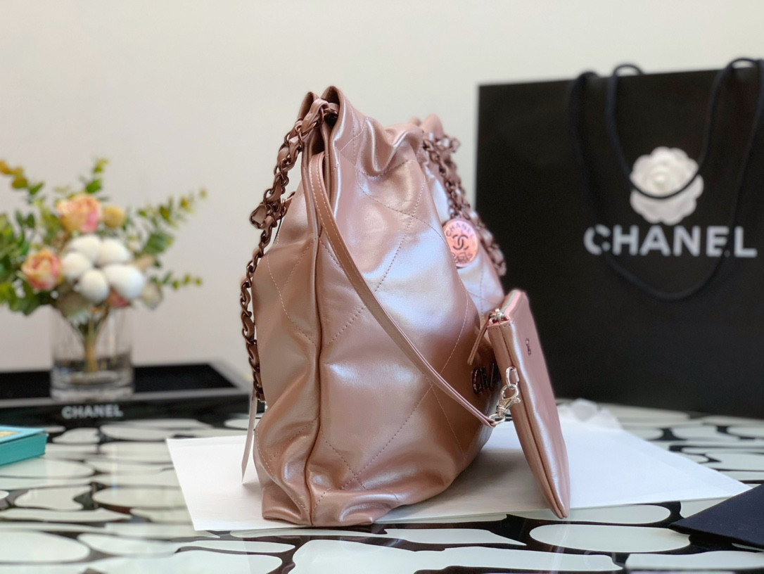 Chanle 22 Backpack