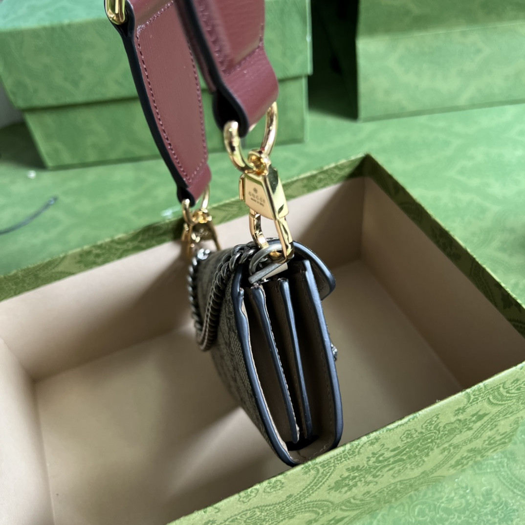 G*u*i dionysus bag