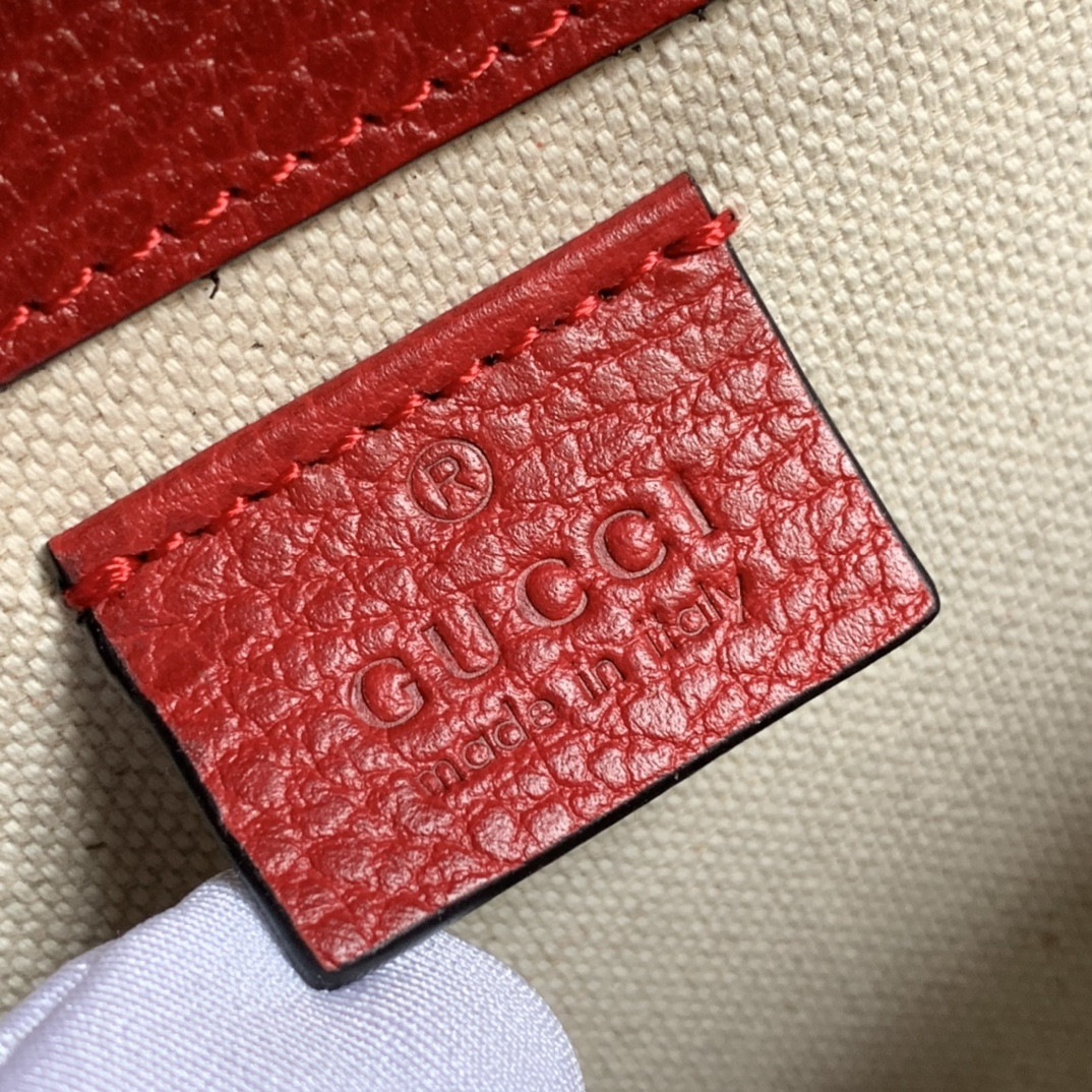 G*u*i dionysus bag