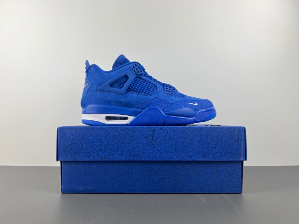 Air Jordan 4 x Nigel Sylvester HF4340-400